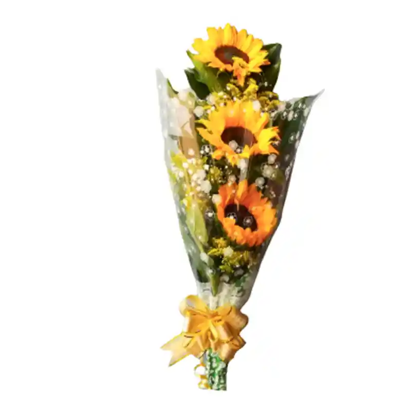 Bouquet De Girasoles X3