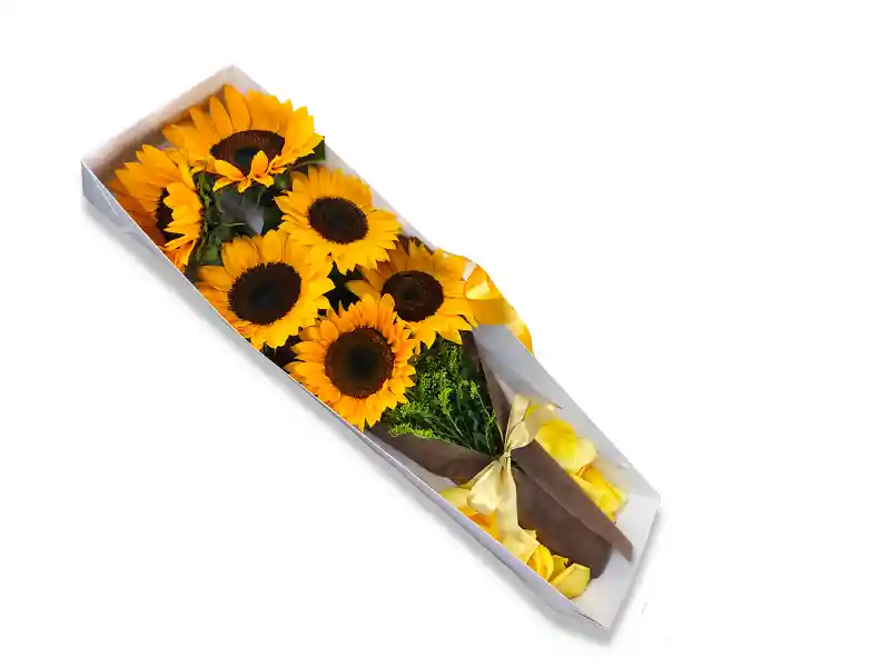 Caja De Girasoles X 6 - Flores En Cali Amarillas