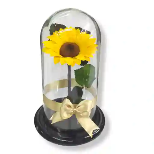 Girasol Preservado - Flores En Cali