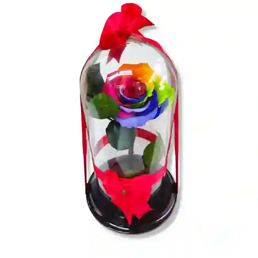 Rosa Preservada Arcoiris, Multicolor O Rainbow