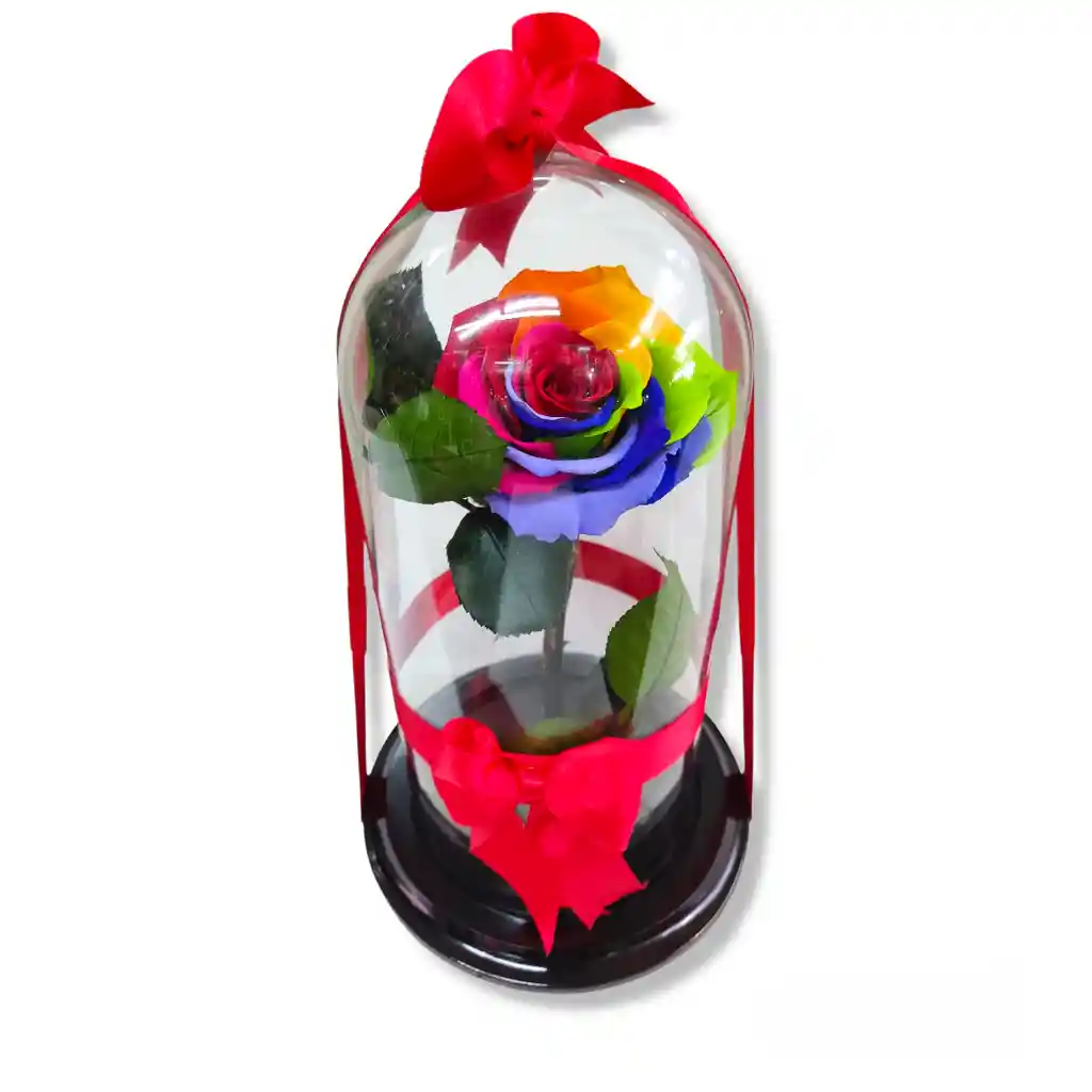 Rosa Preservada Arcoiris, Multicolor O Rainbow