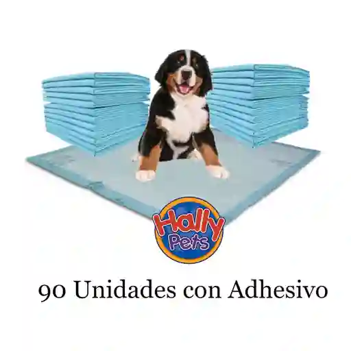 90 Unidades Pañales Entrenador Perro Con Adhesivos