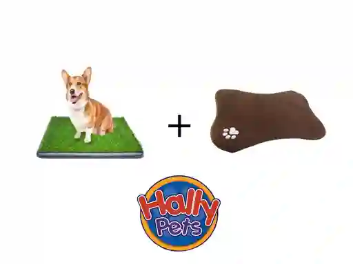 Tapete Entrenador Con Grama Para Mascota + Tapete Hueso
