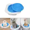 Kit Entrenamiento Baño Para Gato