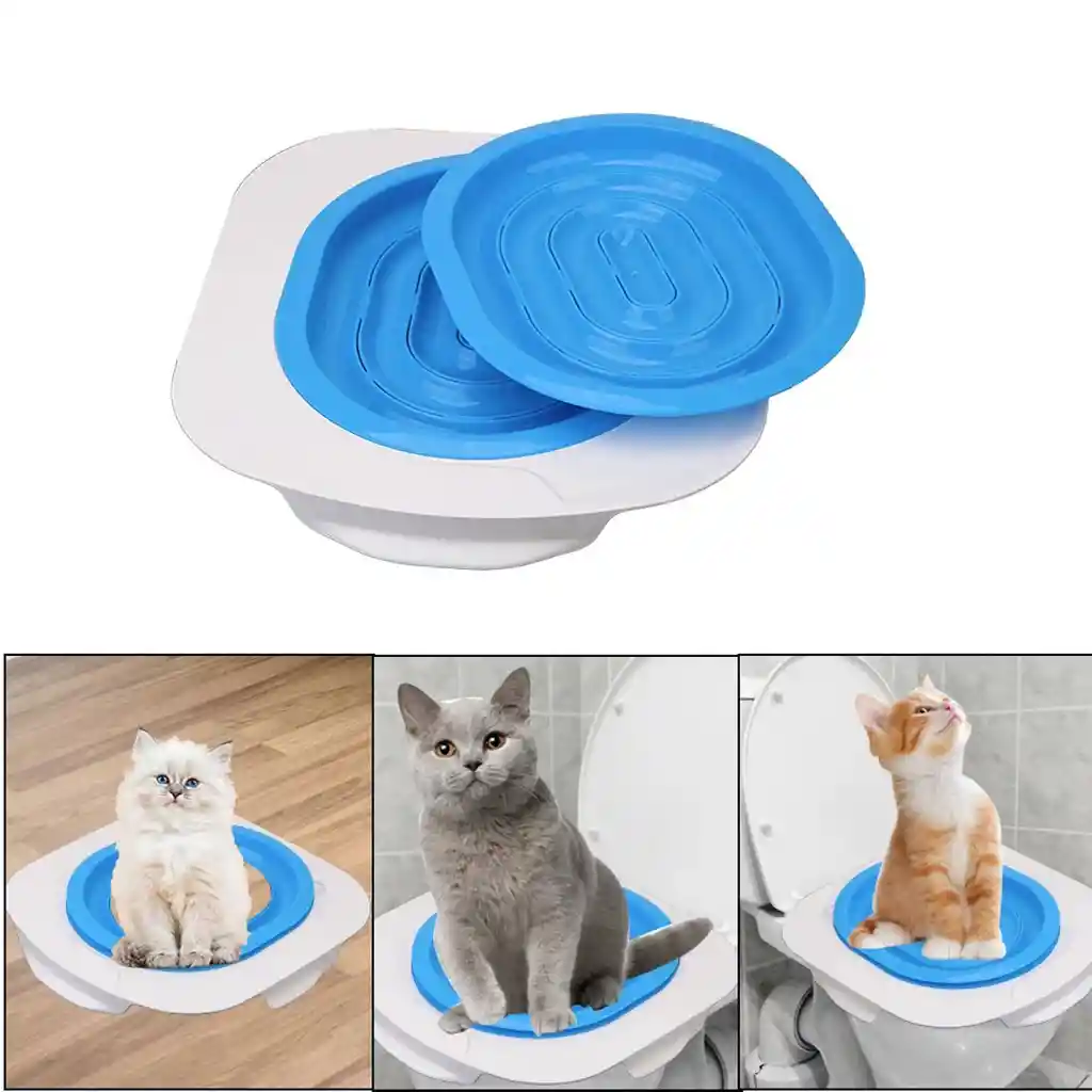 Kit Entrenamiento Baño Para Gato