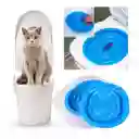 Kit Entrenamiento Baño Para Gato