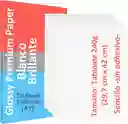 Papel Fotográfico Tamaño Tabloide A3 X 20 Hojas 240g Impresión De Fotos Brillante Fotografía Resma