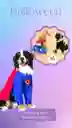 Disfraz Superheroe Completo Perro