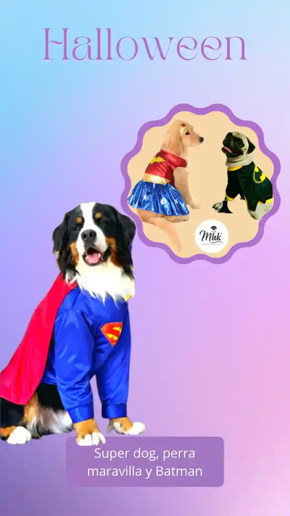 Disfraz Superheroe Completo Perro