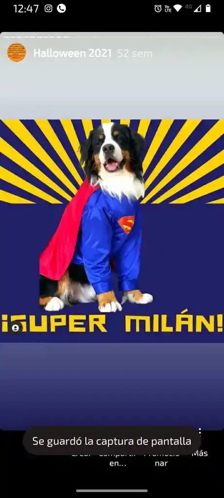 Disfraz Superheroe Completo Perro