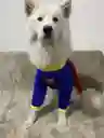 Disfraz Superheroe Completo Perro