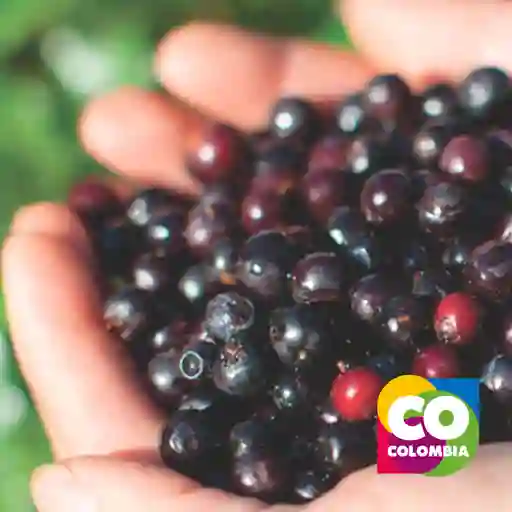 Agraz Por Media Libra - 250 Gramos