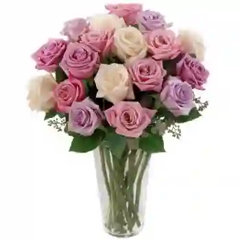 Rosas Palo De Rosa