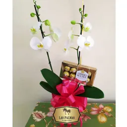 Orquidea Blanco Con Chocolates Ferrero