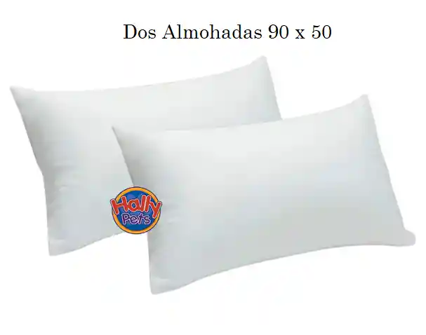 Dos Almohada 90 X 50cm Siliconada