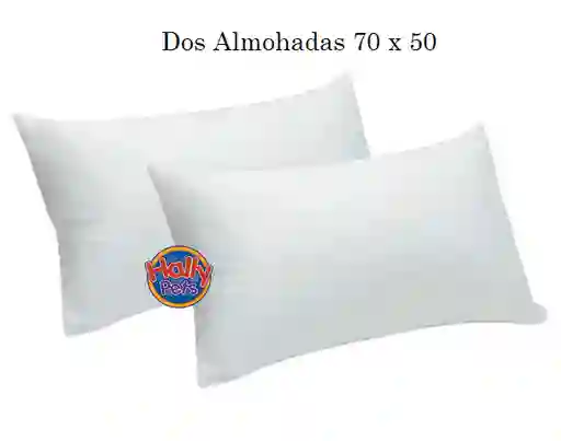 Dos Almohada 70 X 50cm Siliconada