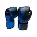 Guantes Boxeo Legion Kick Boxing Artes Marciales Profesional