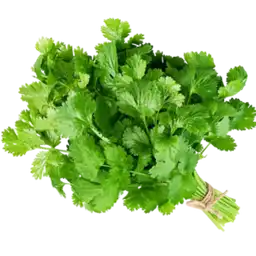 Cilantro Oferta (atado)