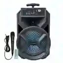 Parlante Recargable Bt Wireless Speaker 8inch + Mic Ktx-1340