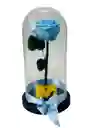Rosa Preservada Premium