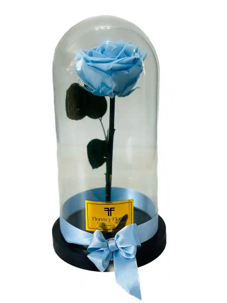 Rosa Preservada Premium
