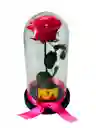 Rosa Preservada Premium