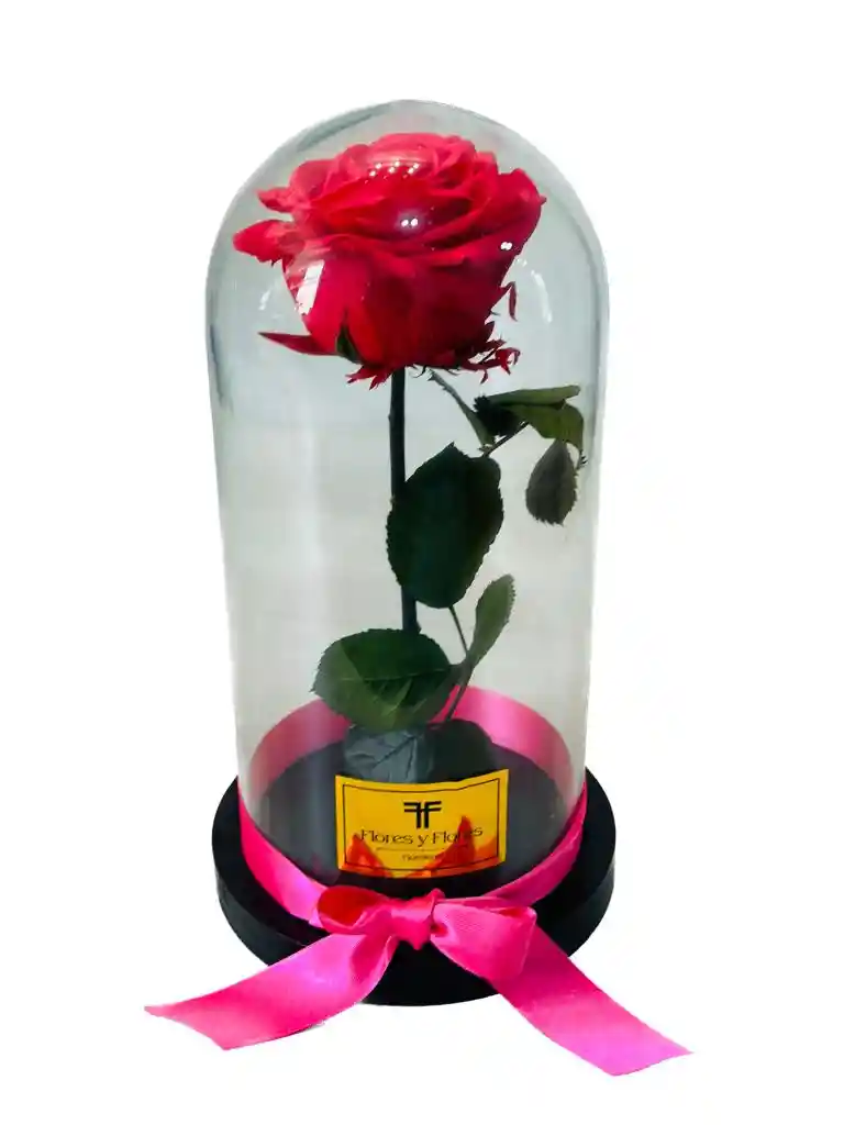 Rosa Preservada Premium