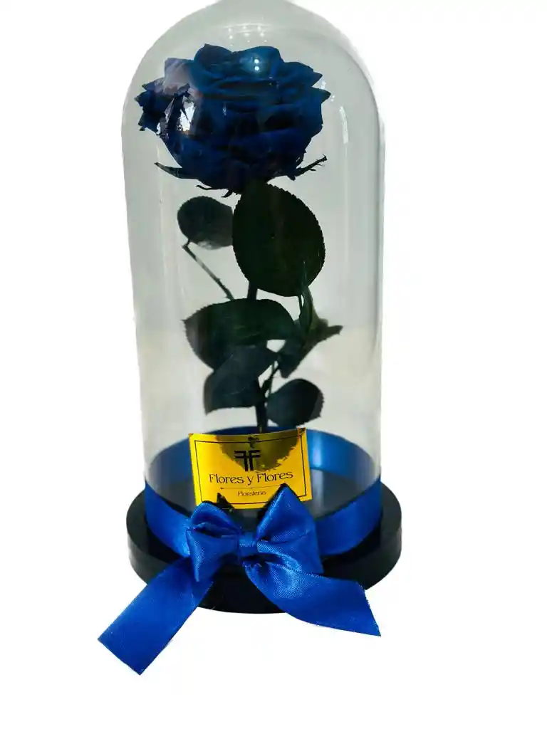 Rosa Preservada Premium