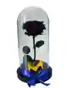 Rosa Preservada Premium