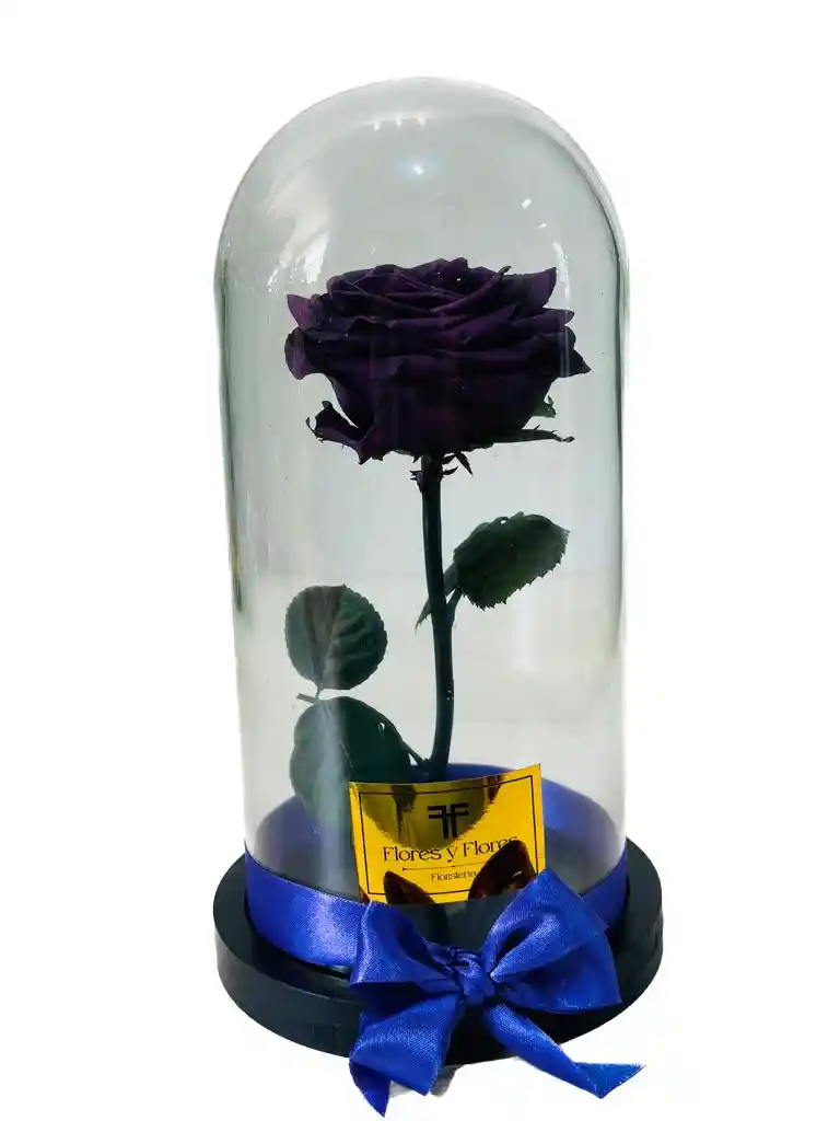 Rosa Preservada Premium