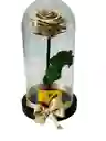 Rosa Preservada Premium