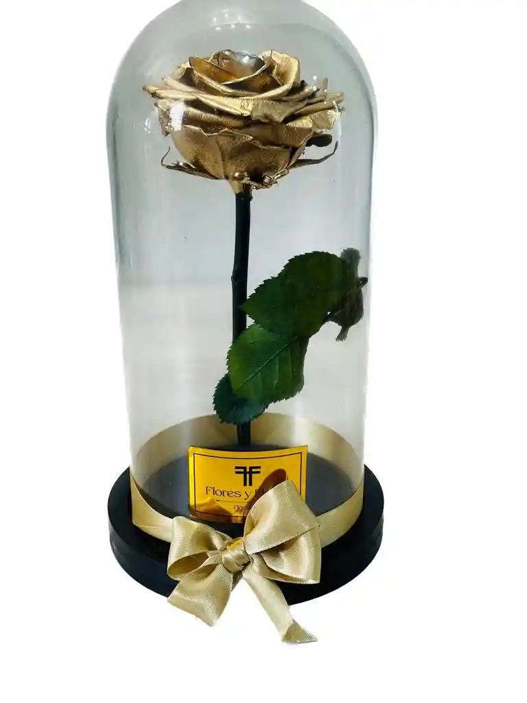 Rosa Preservada Premium