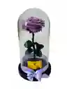 Rosa Preservada Premium