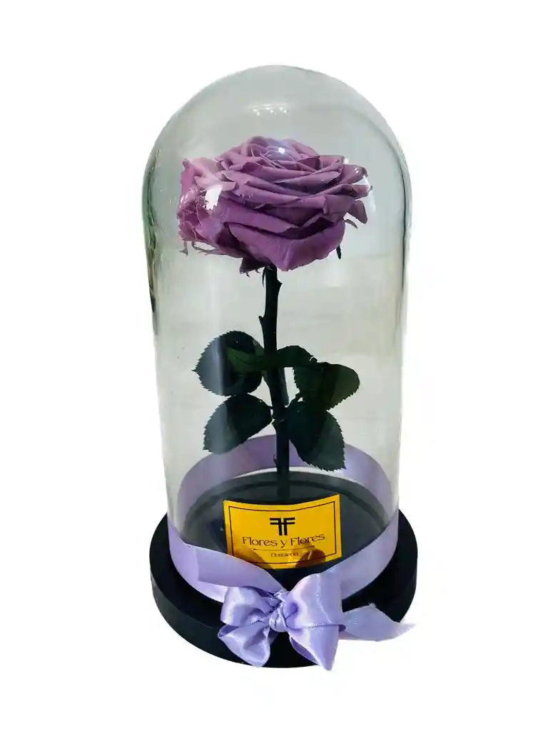 Rosa Preservada Premium