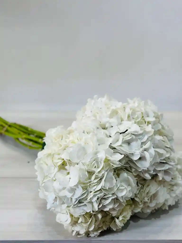 Hortensias Blancas