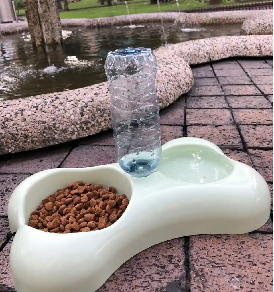 Comedero Para Mascotas Con Dispensador De Agua Automático 30cm