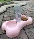Comedero Para Mascotas Con Dispensador De Agua Automático 30cm