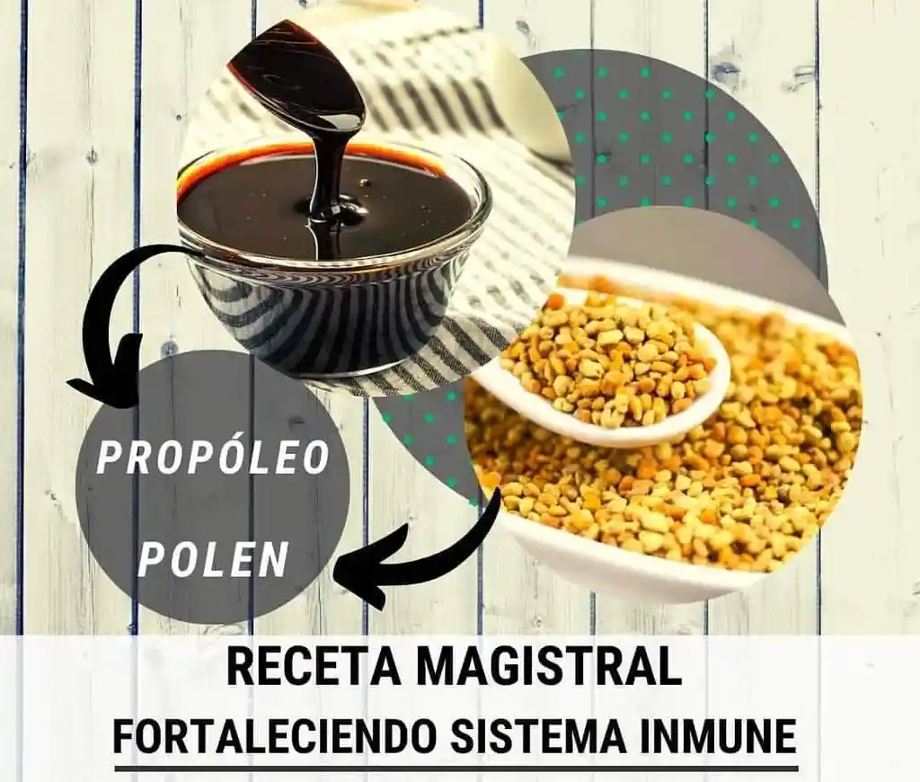 Propóleo Con Eucalipto, Natural, Excelente X 640g