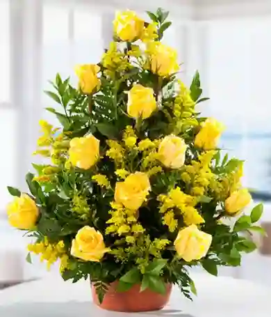 Rosas Amarrillas En Cascad