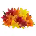 Lirios