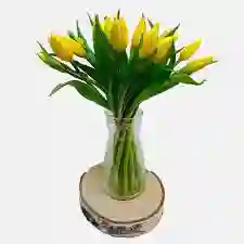 Tulipanes Deluxe