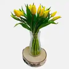 Tulipanes Deluxe