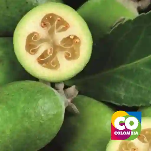 Feijoa Por Libra