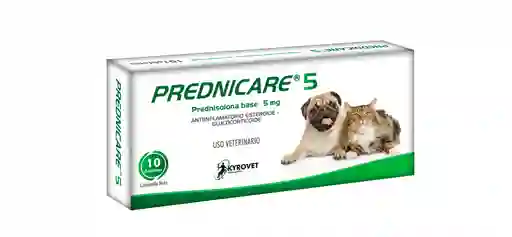 Prednicare 5 Tab Blister X 10