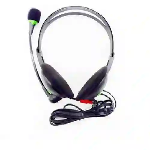 Diadema Con Microfono Wit Am20