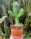 Juguete Cactus Bailarin Recargable, Repite Lo Que Hablas