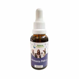 Armonia Pest