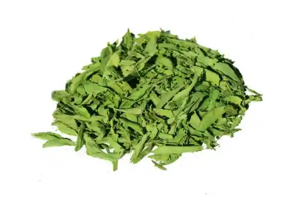 Stevia Hoja