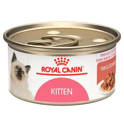 Royal Canin Fhn Wet Kitten Slices In Gravy 85gr