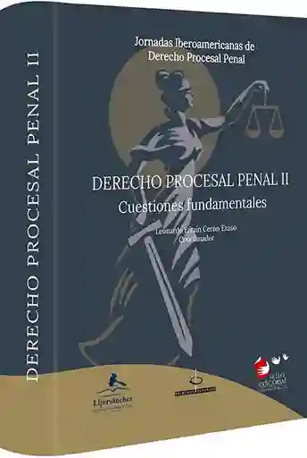 Jornadas Ibaroamericanas De Derecho Procesal Penal Ii Cuestiones Fundamentales